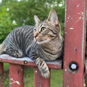 Meet your Posher, Lily